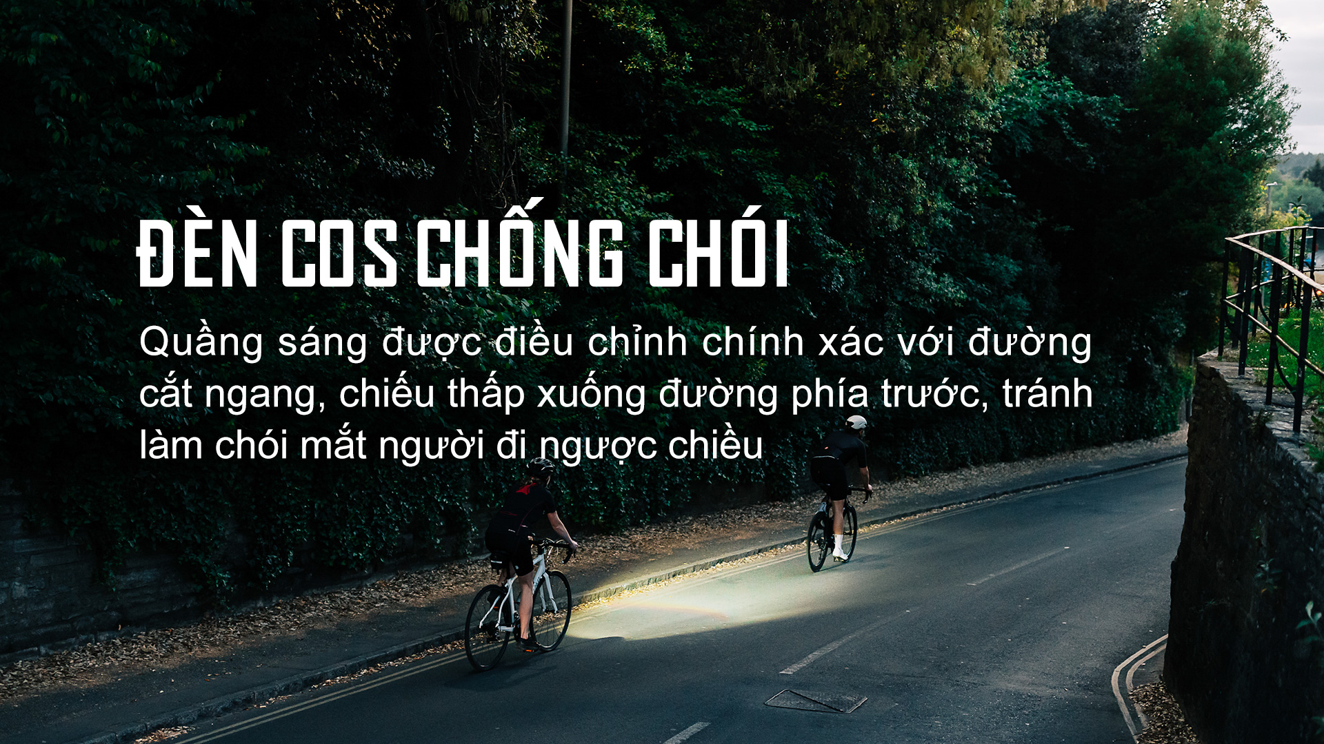 Đèn cos cắt vạch chống chói