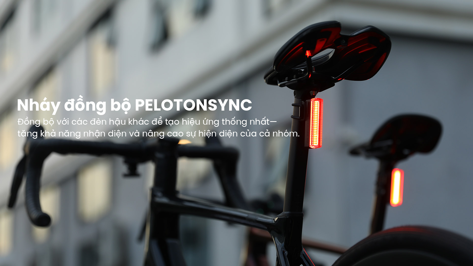 Đèn hậu xe đạp Magicshine SEEMEE 50 PRO nháy đồng bộ PelotonSync.